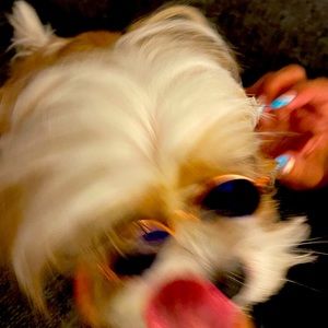 Meet your Posher, Jamon